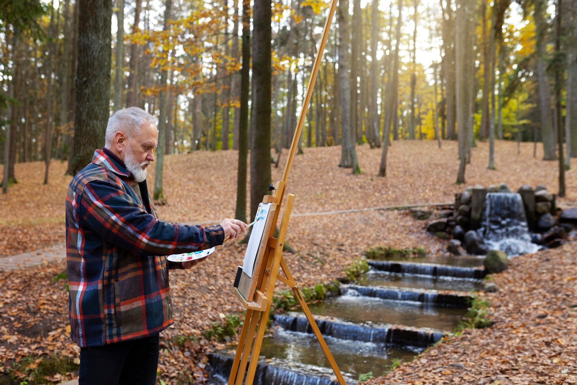 artista pintura acuarela al aire libre bosque caballete lienzo 23 2149908384